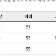 리복 펌프 패딩 자켓 그레이 95 / 이효리패딩