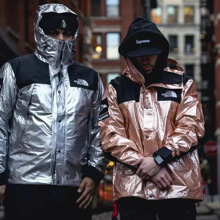 Northface x supreme metallic mountain