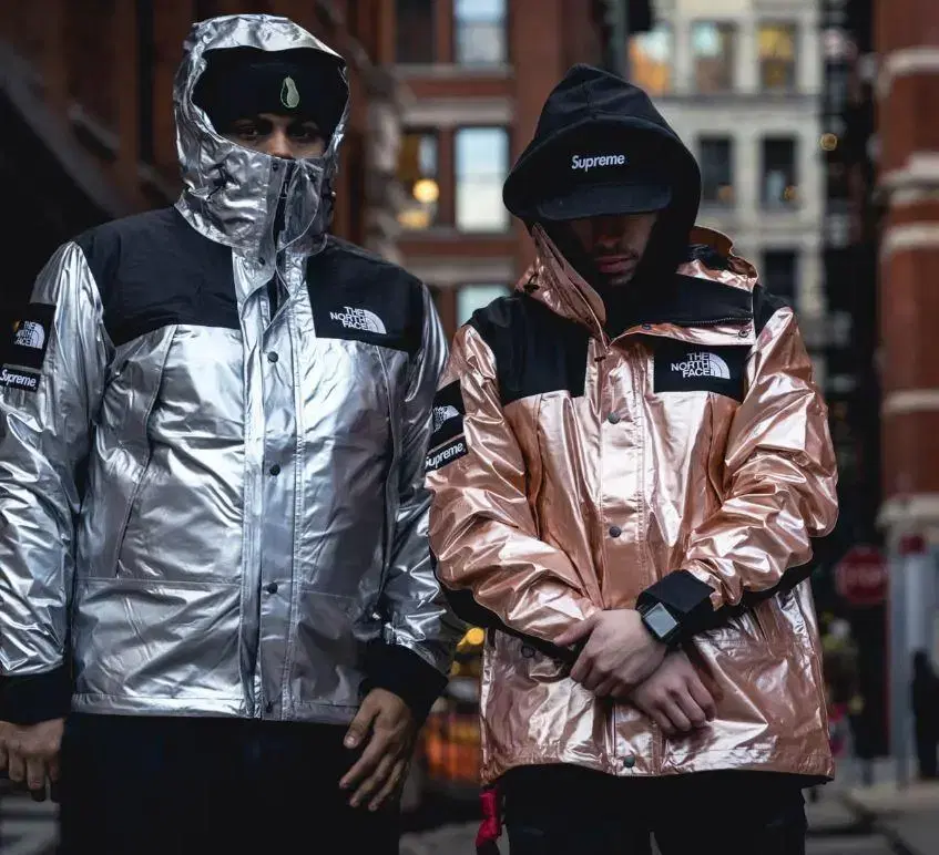 Northface x supreme metallic mountain