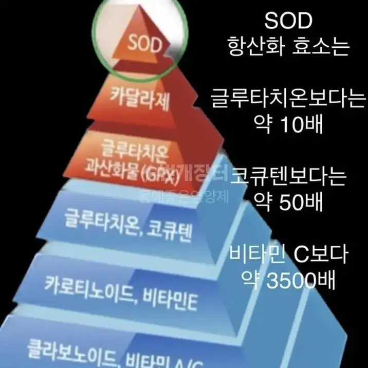 글루타치온 피로 붓기이 좋은 마키베리 고농축 판매합니다