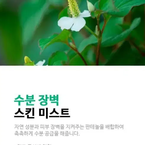 닥터올가 어성초&목련 카밍 스킨 미스트