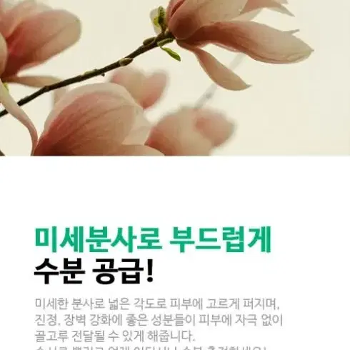 닥터올가 어성초&목련 카밍 스킨 미스트