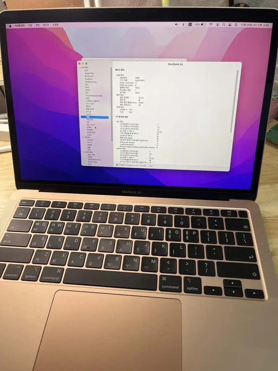 맥북 2020 13 인텔맥 골드팝니다 매직마우스 포함