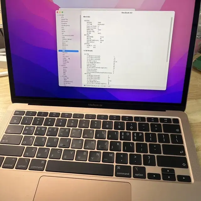 맥북 2020 13 인텔맥 골드팝니다 매직마우스 포함