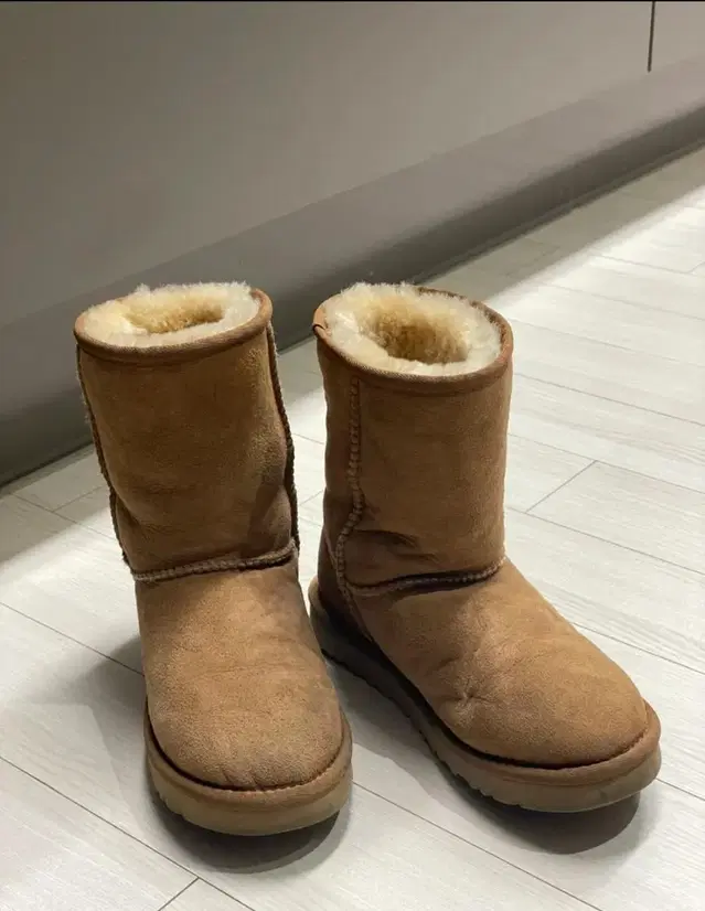 정품) 미국 어그 UGG 220 숏 체스트넛 US5 EU36 UK3