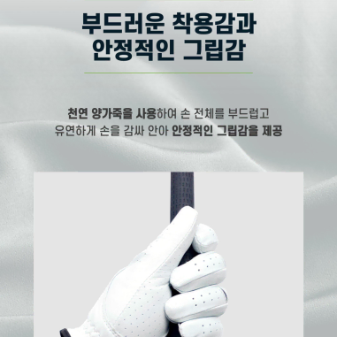 남성 올양피 프리미엄 올뉴골프장갑 왼손장갑 라운딩용품 10장 묶음