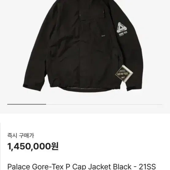 팔라스 고어텍스 p cap jacket L