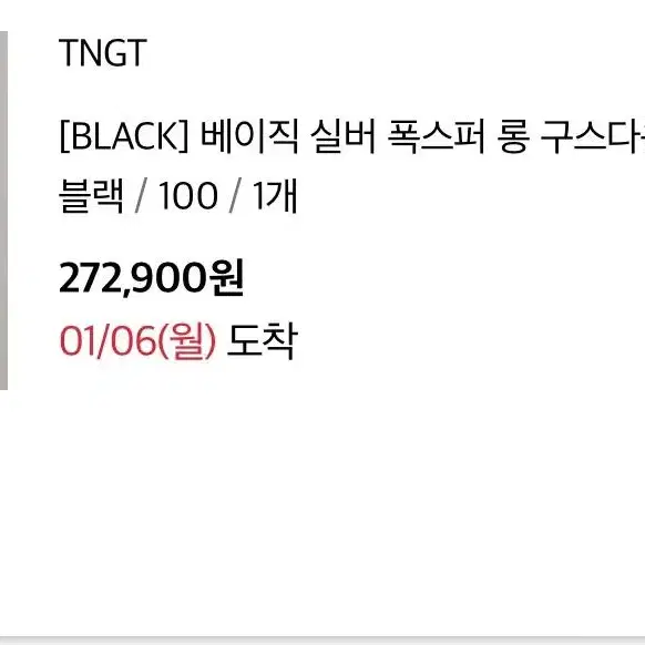 TNGT 베이직 실버 폭스퍼 롱 구스다운 블랙 100