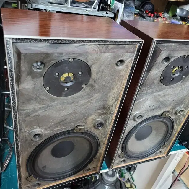 B&O. BEOVOX S35V 비엔오 스피커