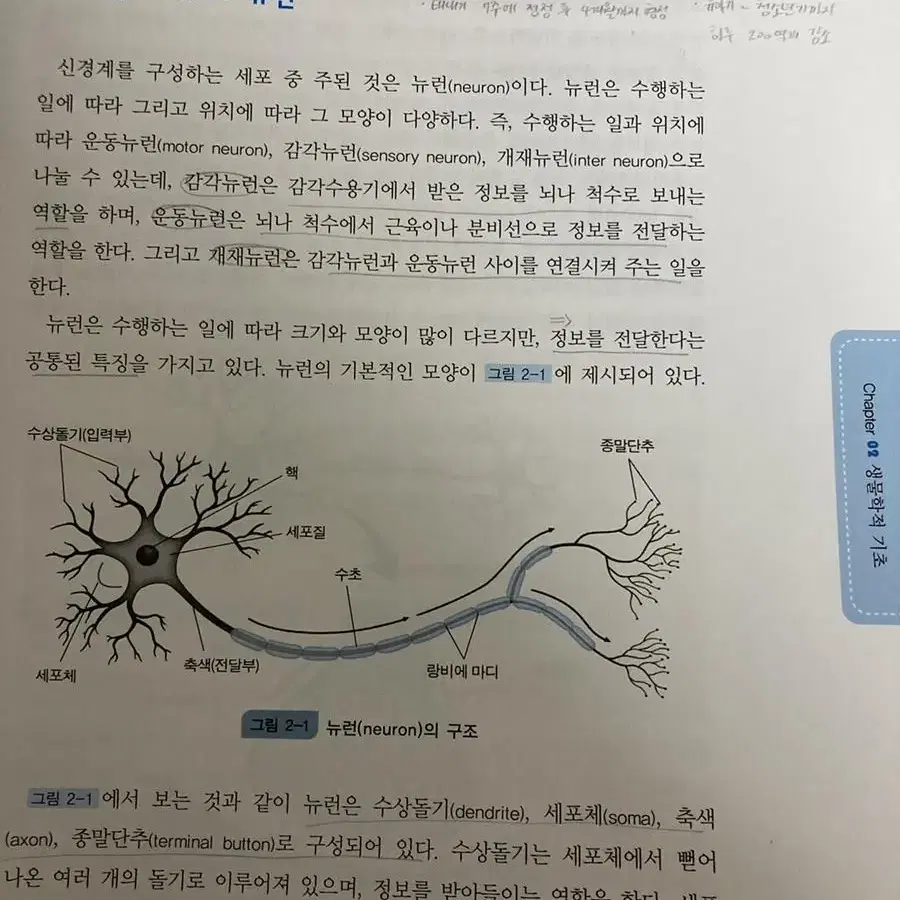 인간이해를 위한 심리학 제3판 양성원