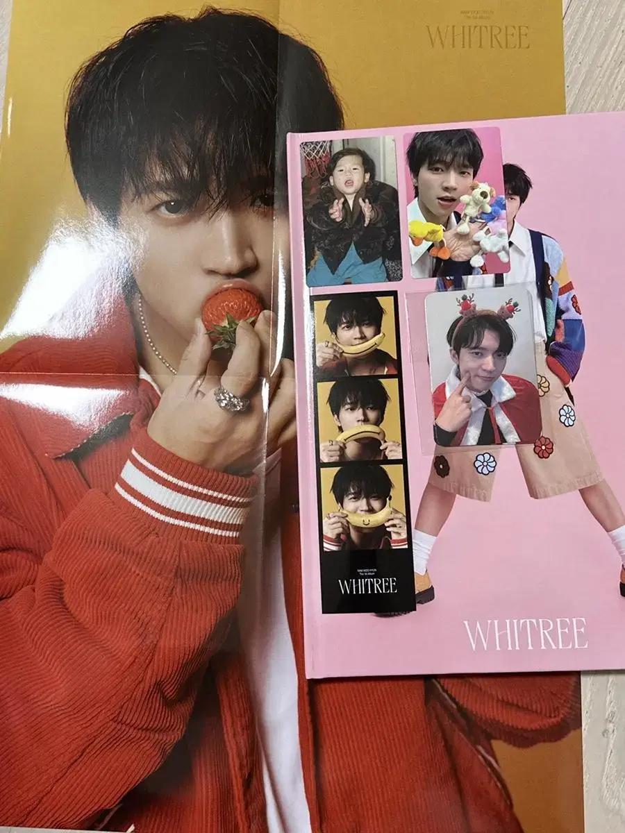 Nam Woohyun WHITREE album + Prom unreleased photocard