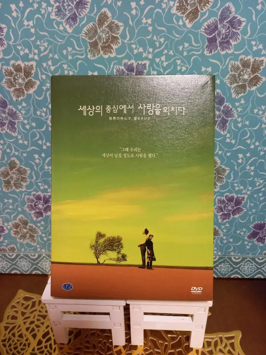 DVD 세상의 중심에서 사랑을 외치다 2CD