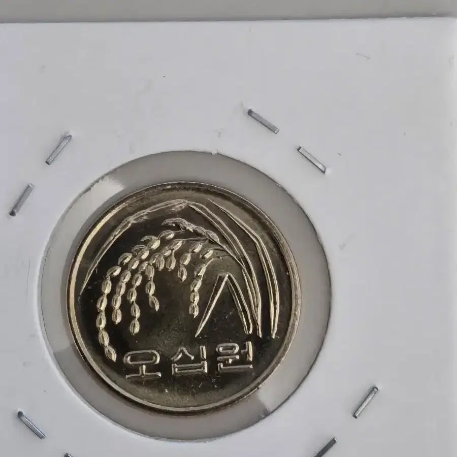 1995년100원 50원 미사용 4개