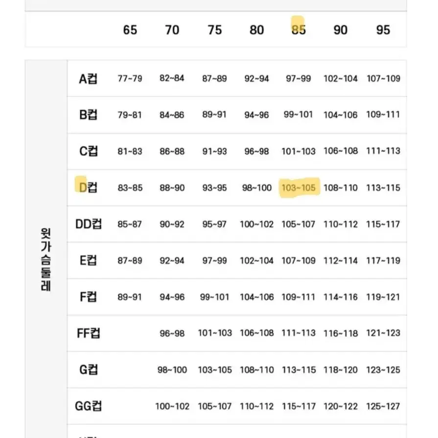 [새상품]쇼크업소버 스포츠브라