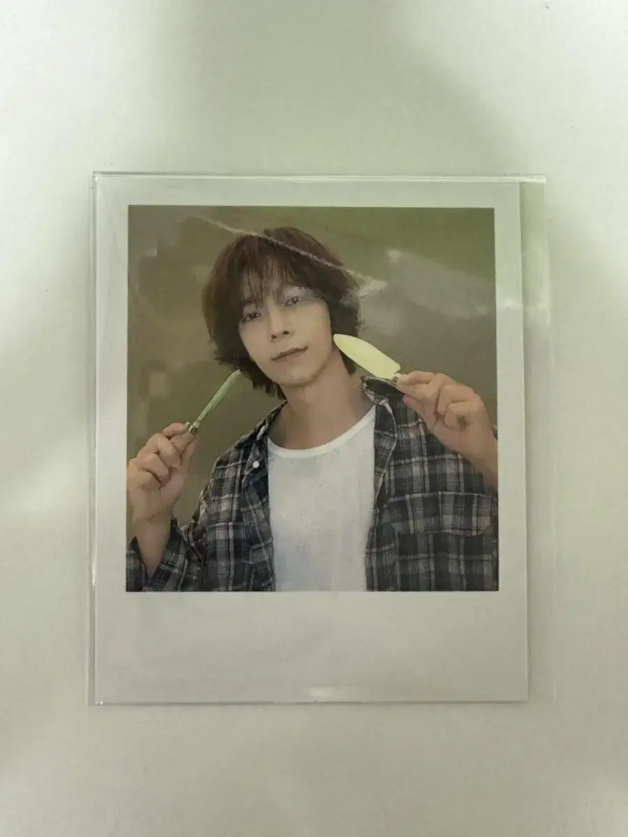 Super Juniors seasons greetings donghae pola Photocard photocard WTS