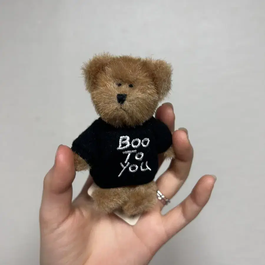 급전 오늘까지만 보이즈베어 빈티지 인형 쪼꼬미 (Boo to you)