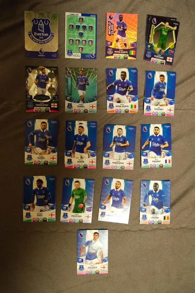 Panini EPL 23-24 Everton kard Sell