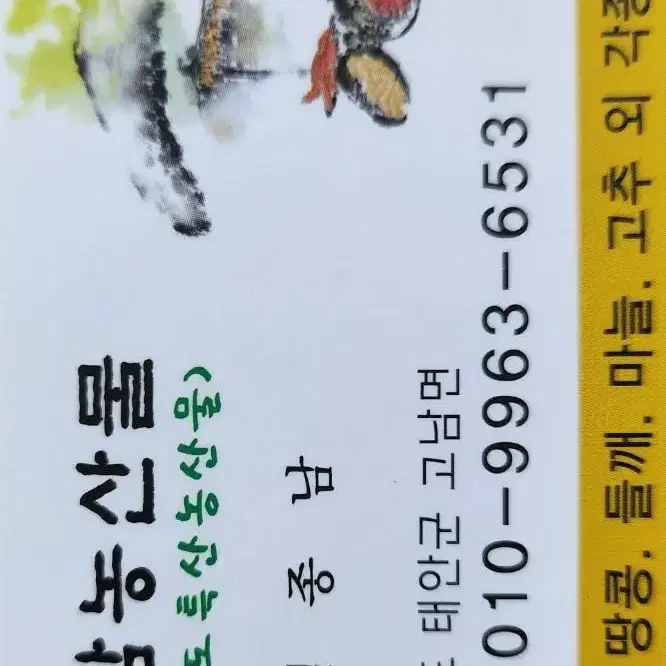 꿀고구마(소담미)