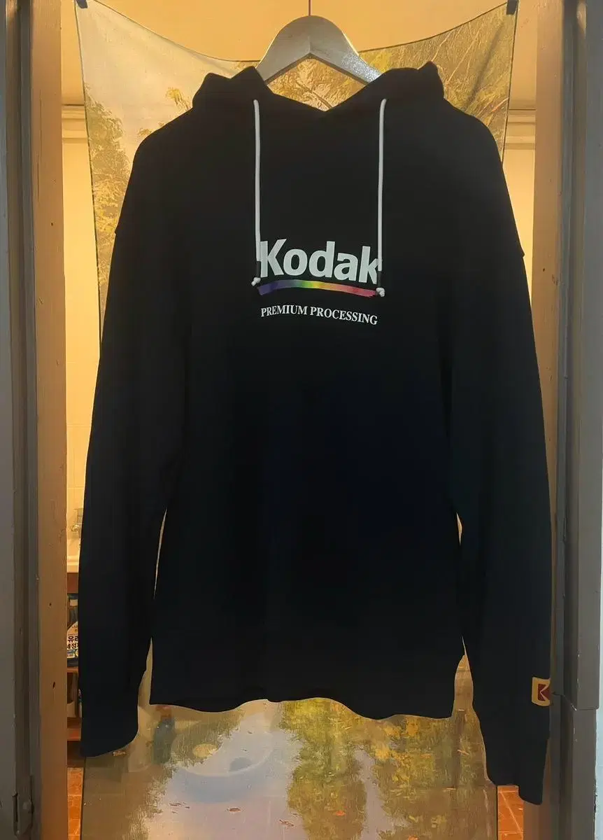 Kodak Rainbow Hoodie