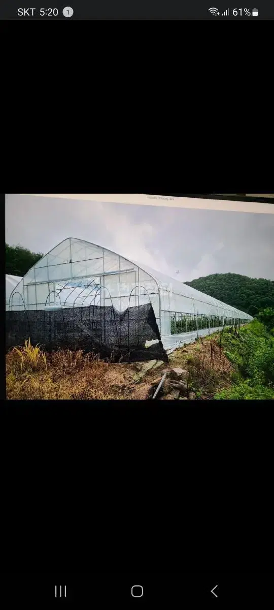 농막+비닐하우스1동  매매합니다