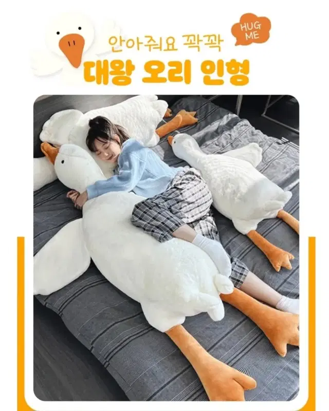 루시아이 바디필로우 오리인형