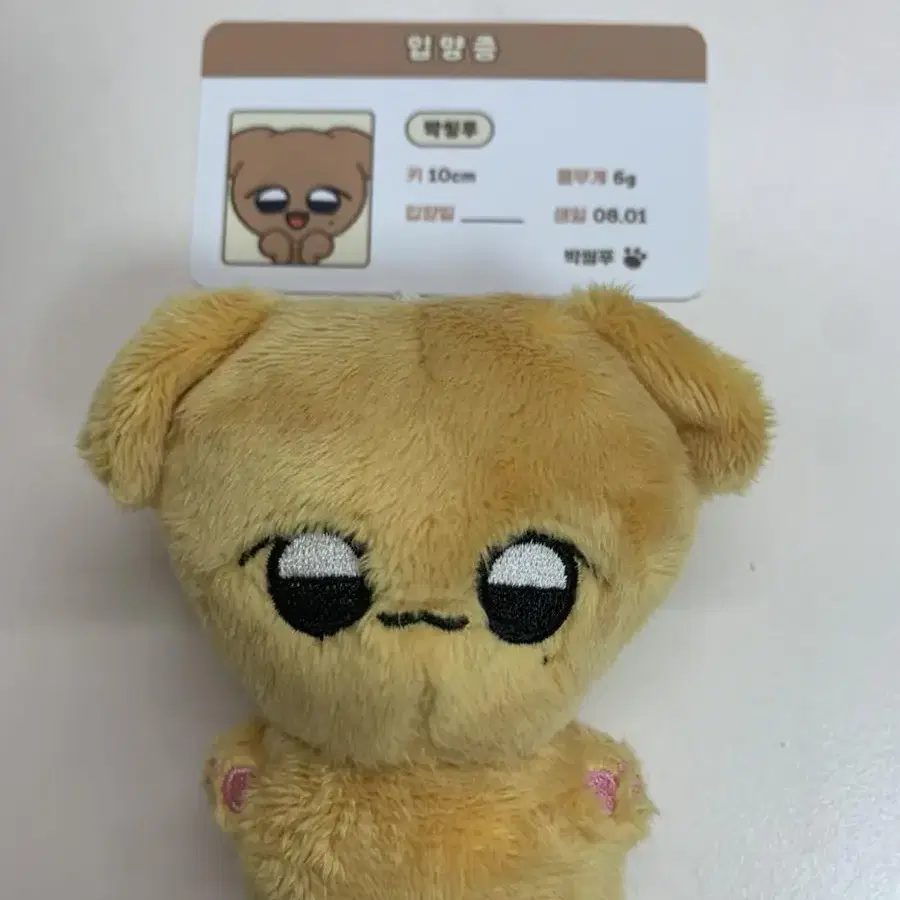 스테이씨 인형