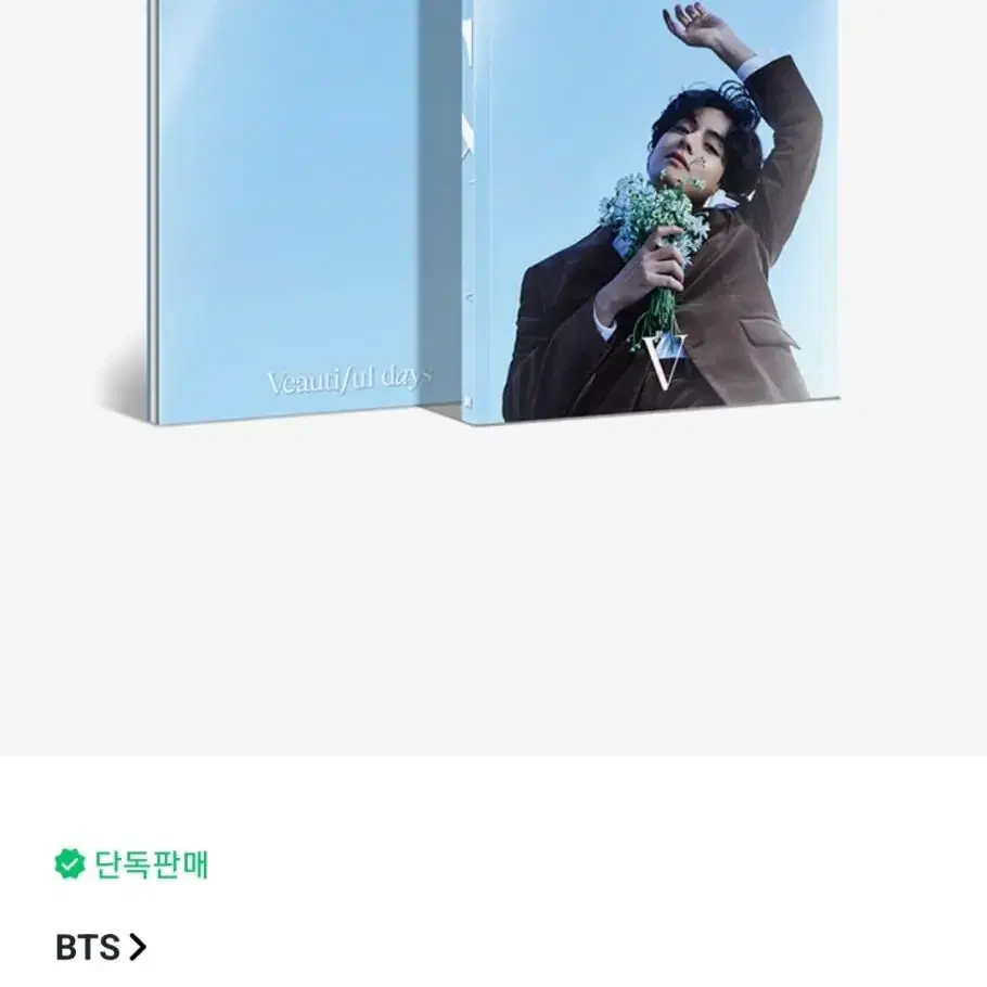 BTS 방탄소년단 태형 V 뷔 스페셜 8 포토폴리오 포토북