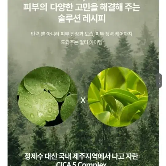 주름개선 기능성 저자극 비건 시카 세럼 50ml