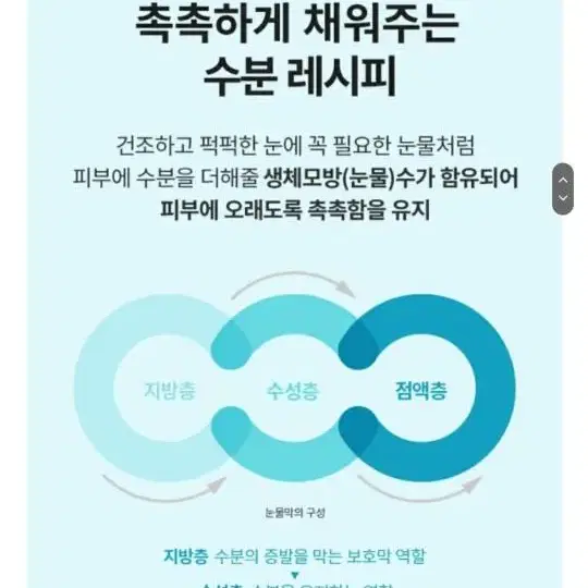 비건 시카 모이스처 토너 패드 100매