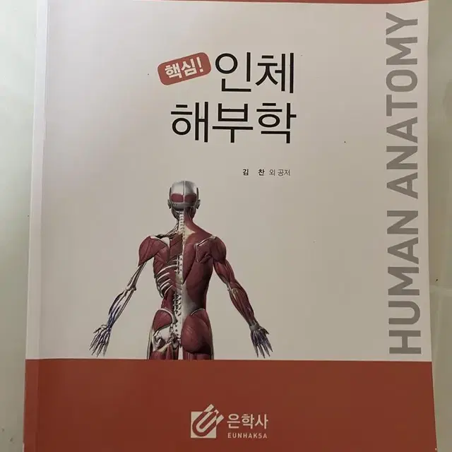 인체해부학 은학사