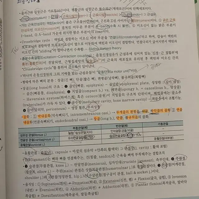 인체해부학 은학사