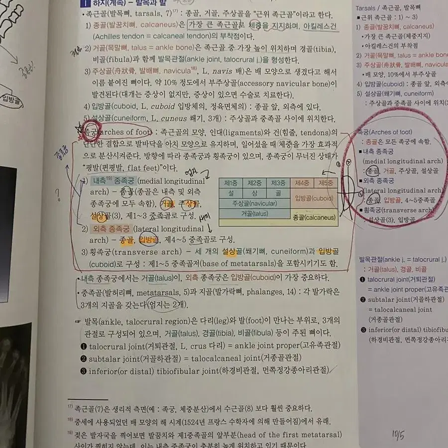 인체해부학 은학사