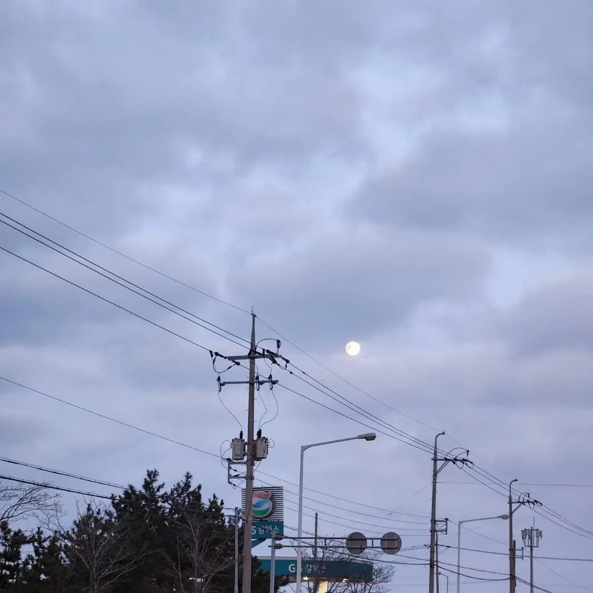 씨마크 호텔 식사권 구매 합니다.1월 10일 까지 구해요