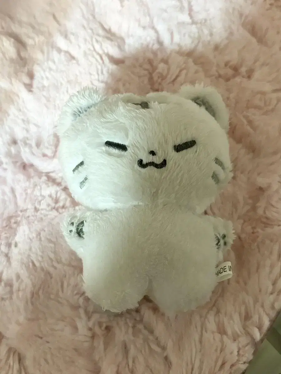 Hoshi doll Hochi WTS