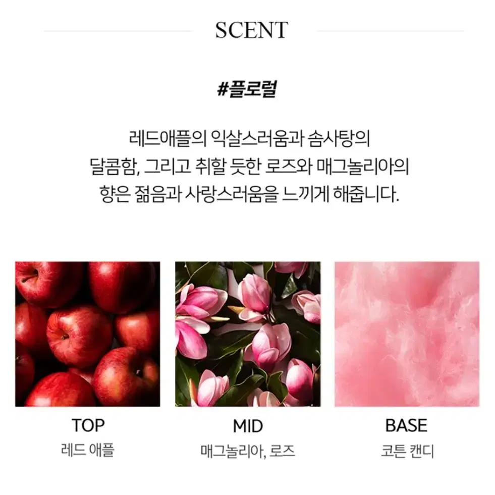 폴로 랄프 러브 EDT 30ML