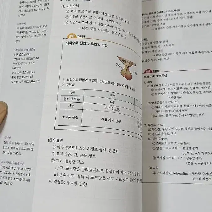 생명과학1 개념서(핵심개념만 30일안에 할 수 있는 구성)