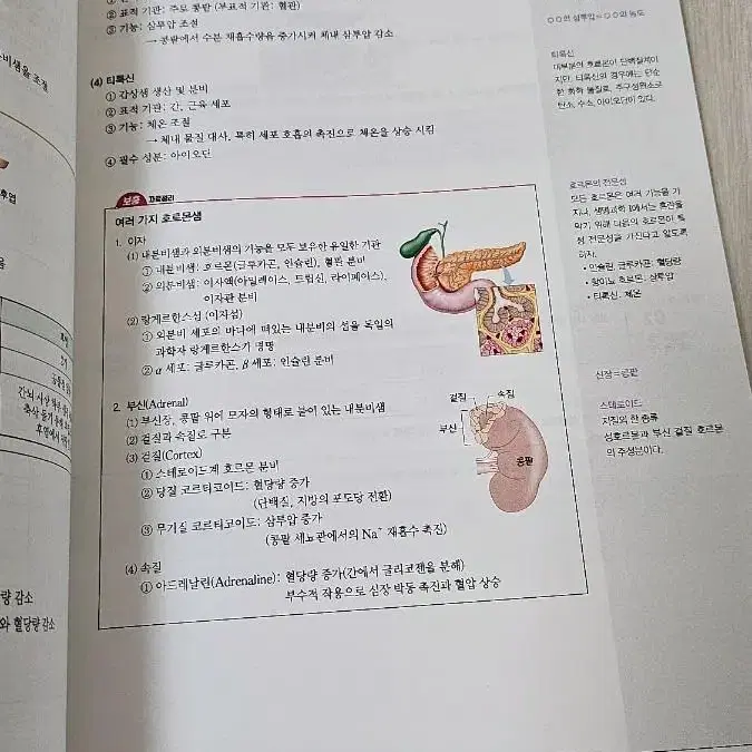 생명과학1 개념서(핵심개념만 30일안에 할 수 있는 구성)