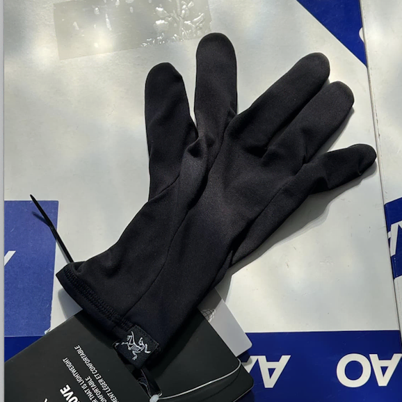 아크테릭스 장갑 arcteryx RHO glove