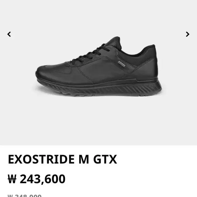 ECCO EXOSTRIDE GTX 고어텍스 남자신발