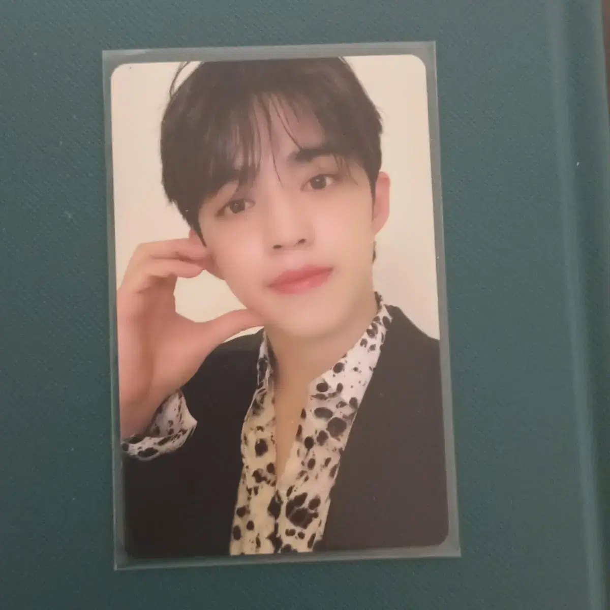 Seventeen s.coups seasons greetings Photocard