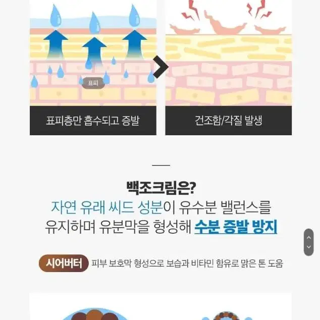 악건성추천 미백 탄력 주름 스와니코코 고보습 밀착 영양 크림 50ml