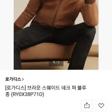 로가디스 브라운 스웨이드 네크 퍼 블루종