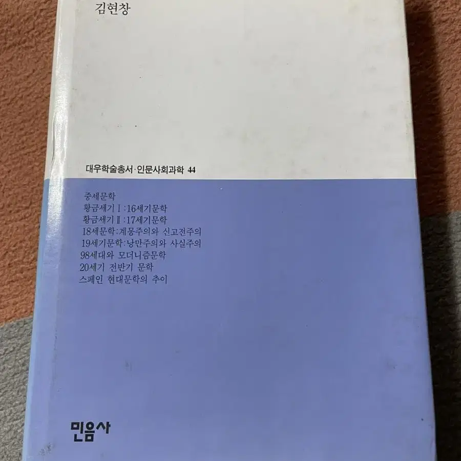 스페인문학사 대우학술총서 민음사