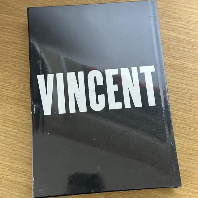 빈센트 갈로 Vincent Gallo 1962 1999 레어 북!