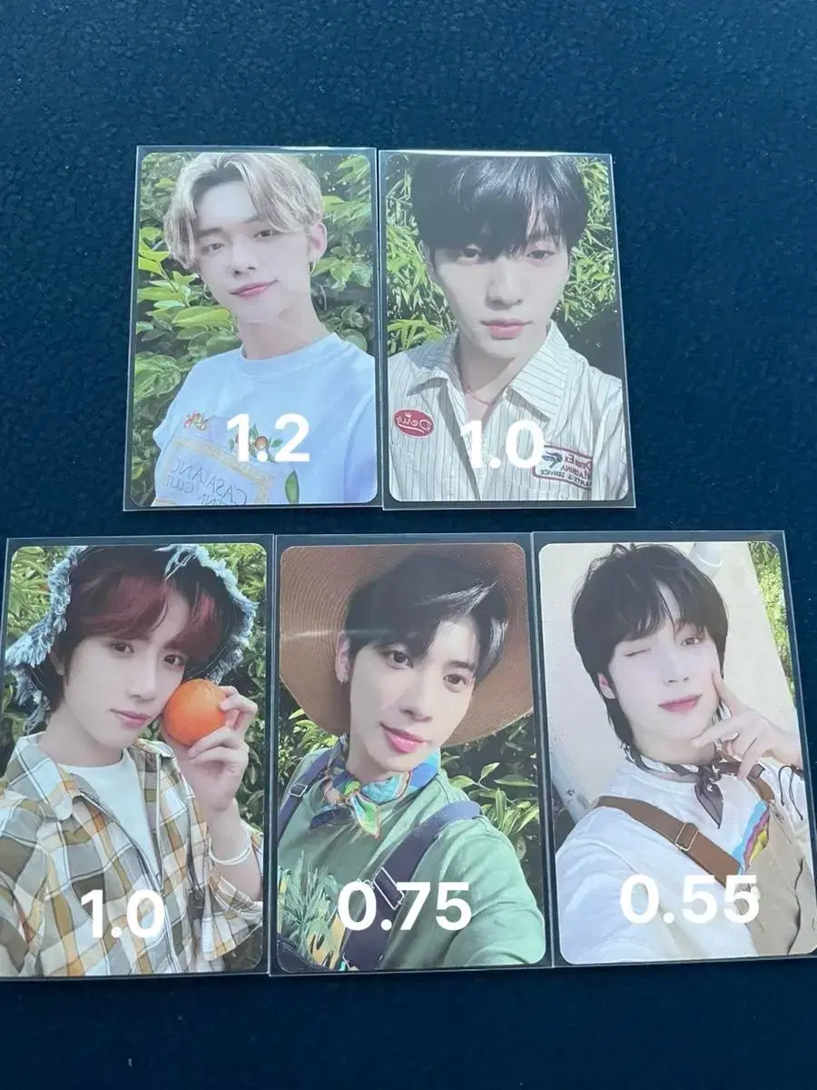 TXT Midsummer Tangerine Farm photocard WTS