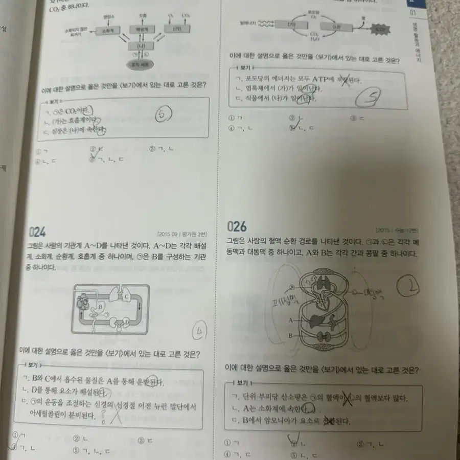 백호 생명과학1 섬세한 개념완성