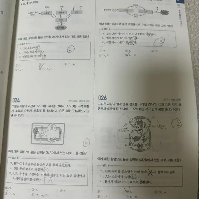 백호 생명과학1 섬세한 개념완성