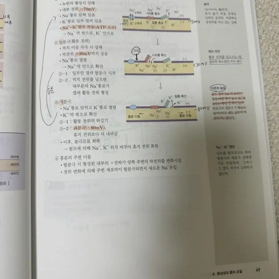 백호 생명과학1 섬세한 개념완성