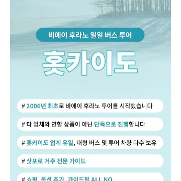 훗카이도 비에이투어 4인 양도 (1/7, 점심 포함)