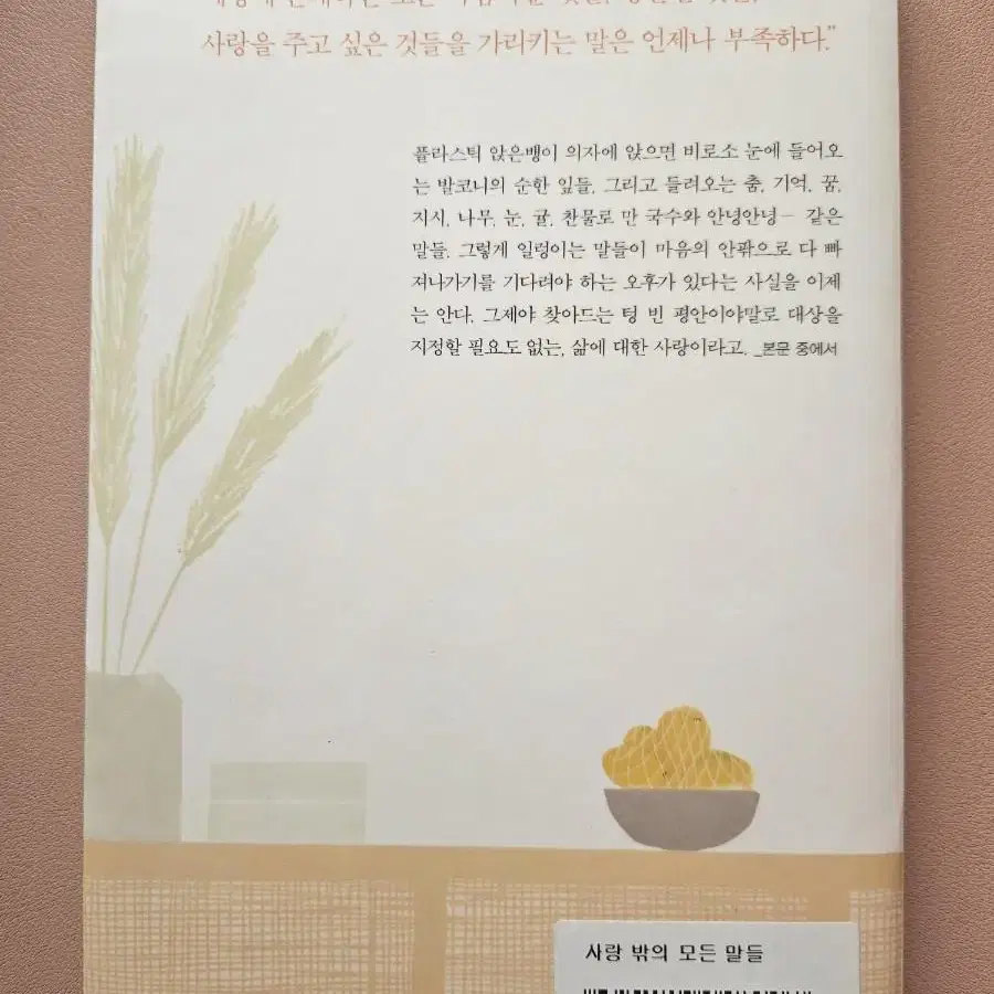 사랑 밖의 모든 말들